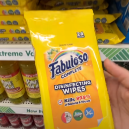 fabuloso wipes from dollar tree